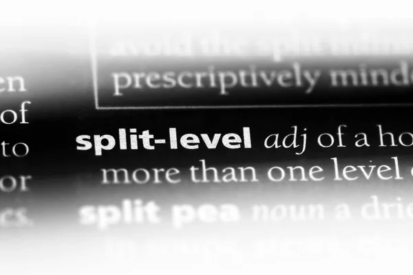 Split Level Word Dictionary Split Level Concept — Stock Photo, Image