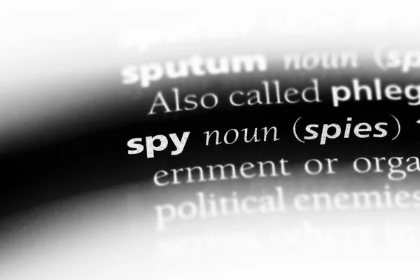 Spion Woord Een Woordenboek Spion Concept — Stockfoto
