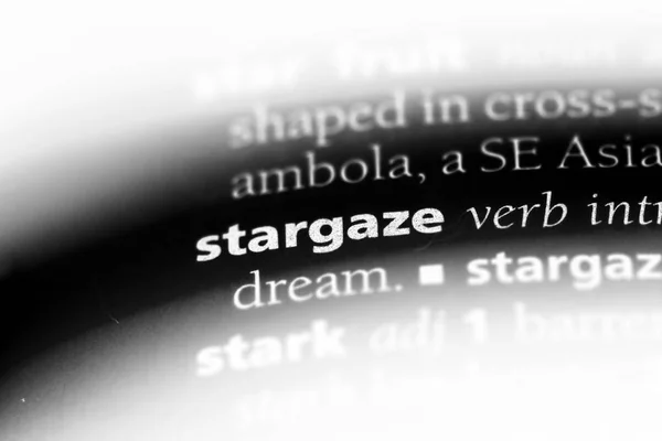 stargaze word in a dictionary. stargaze concept.
