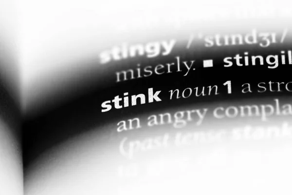 Stinkewort Einem Wörterbuch Stinkkonzept — Stockfoto