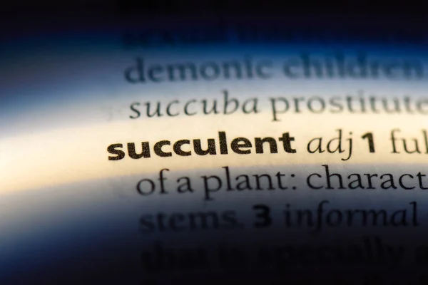 Succulent Word Dictionary Succulent Concept — Stock Photo, Image