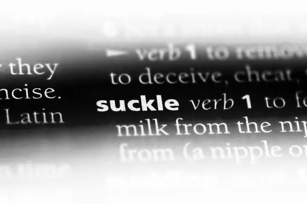 Suckle Word Dicionário Conceito Amamentação — Fotografia de Stock