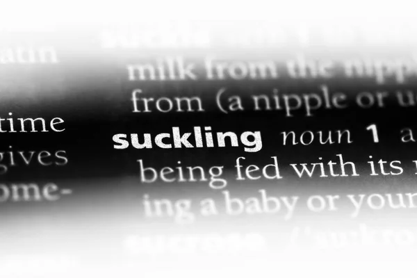 Γουρουνόπουλο Λέξη Ένα Λεξικό Έννοια Του Θηλασμού — Φωτογραφία Αρχείου