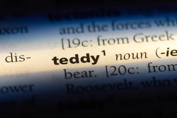Teddywort Einem Wörterbuch Teddy Konzept — Stockfoto