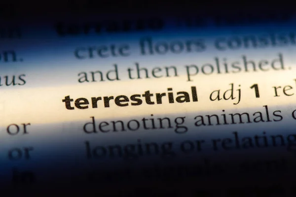 Terrestrial Word Dictionary Terrestrial Concept — Stock Photo, Image