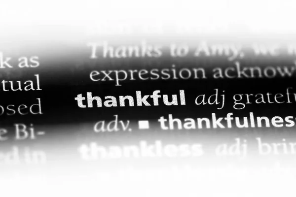 一本字典中的感恩词 感恩的概念 — 图库照片
