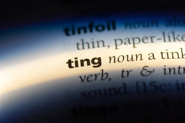 Ting Λέξη Ένα Λεξικό Ting Έννοια — Φωτογραφία Αρχείου
