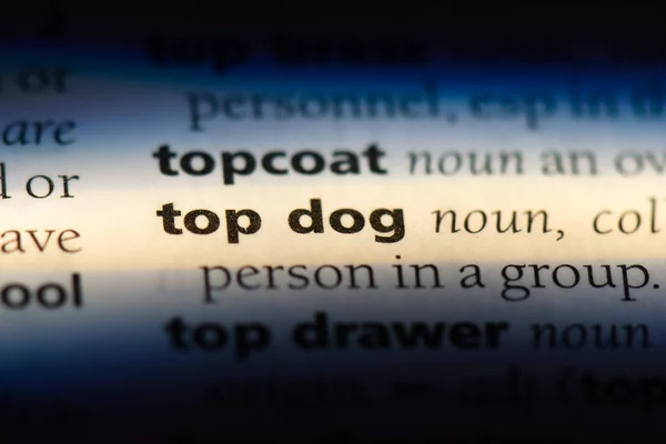 Parola Chiave Dizionario Top Dog Concetto — Foto Stock