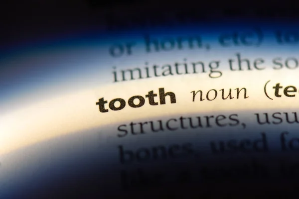 Zahnwort Einem Wörterbuch Zahnkonzept — Stockfoto