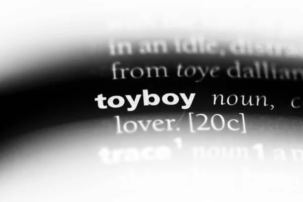 사전에 Toyboy 단어입니다 Toyboy — 스톡 사진