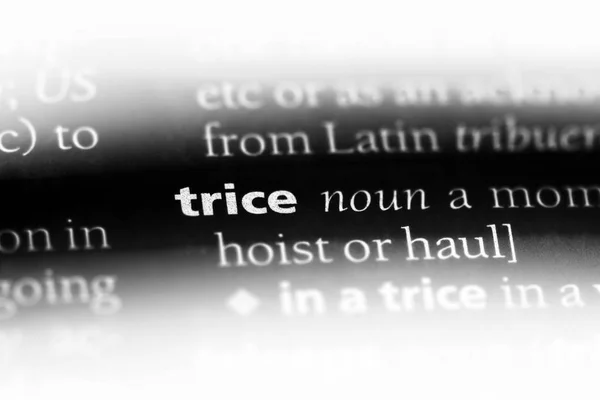 Trice Parola Dizionario Trice Concetto — Foto Stock