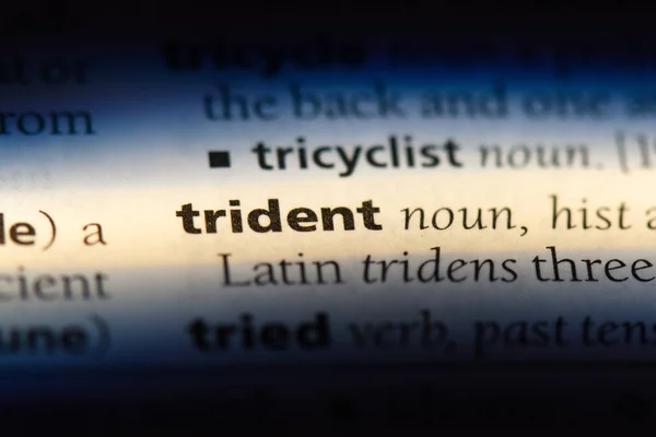 Trident Word Dictionary Trident Concept — Stock Photo, Image
