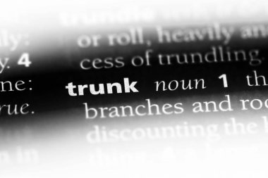 bagaja kelime sözlüğe. gövde kavramı.