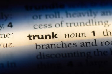 bagaja kelime sözlüğe. gövde kavramı.