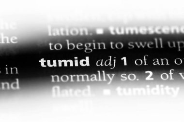 tumid tek kelimeyle bir sözlük. tumid kavramı.