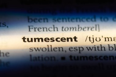 şişen tek kelimeyle bir sözlük. şişen kavramı.