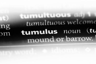 Höyük word Sözlük içinde. Tümülüs kavramı.