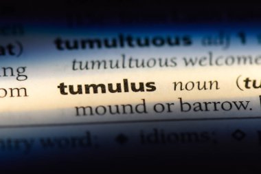 Höyük word Sözlük içinde. Tümülüs kavramı.