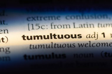 bir sözlüğü'ndeki fırtınalı sözcüğü. fırtınalı kavramı.