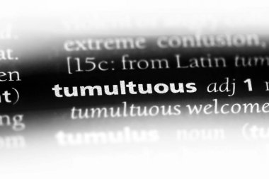 bir sözlüğü'ndeki fırtınalı sözcüğü. fırtınalı kavramı.