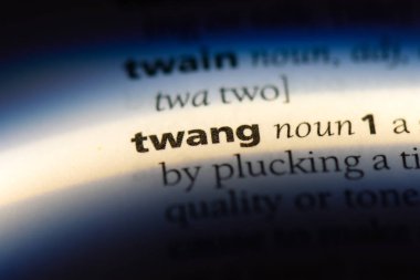 bir sözlüğü'ndeki sözcüğü twang. kavram twang.