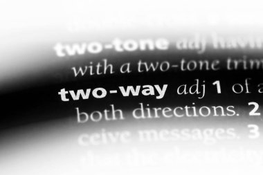 iki yönlü bir sözlük tek kelimeyle. iki yönlü kavramı.