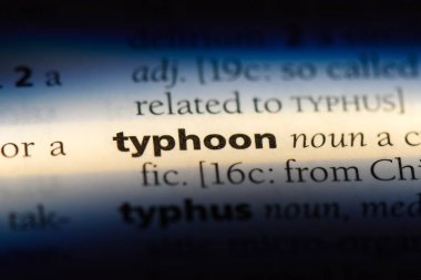 tayfun Word'de bir sözlük. tayfun kavramı.