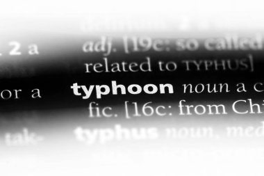 tayfun Word'de bir sözlük. tayfun kavramı.