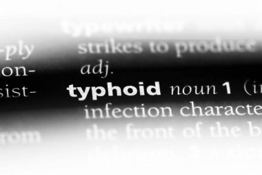 tifo Word'de bir sözlük. tifo kavramı.