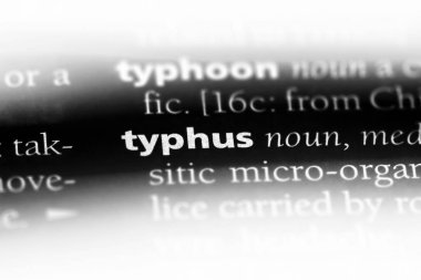 tifüs Word'de bir sözlük. tifüs kavramı.