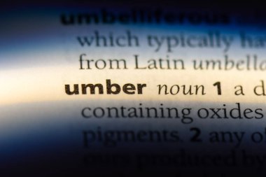 Umber tek kelimeyle bir sözlük. Umber kavramı.