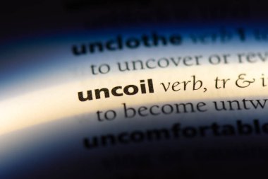 bir sözlüğü'ndeki sözcüğü fiþini. kavram fiþini.