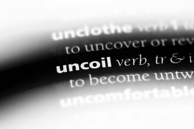 bir sözlüğü'ndeki sözcüğü fiþini. kavram fiþini.