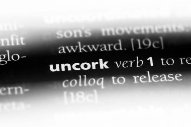 bir sözlüğü'ndeki sözcüğü açalım. kavram açalım.