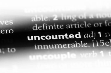 hesapsız tek kelimeyle bir sözlük. hesapsız kavramı.