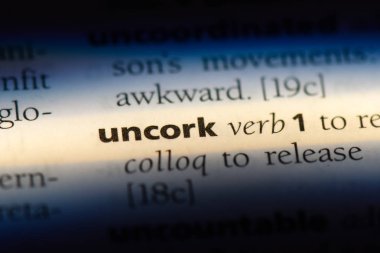 bir sözlüğü'ndeki sözcüğü açalım. kavram açalım.