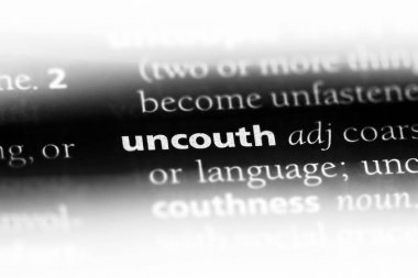 bir sözlük kaba Word'de. kaba kavramı.