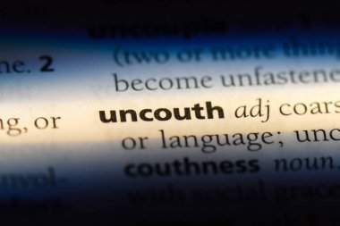 bir sözlük kaba Word'de. kaba kavramı.