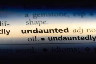 bir sözlüğü'ndeki yılmayan sözcüğü. yılmayan kavramı.