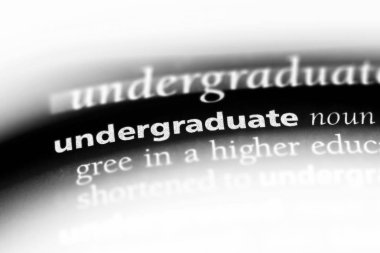 bir sözlüğü'ndeki lisans sözcüğü. Lisans kavramı.