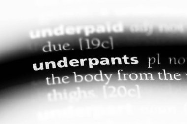 iç çamaşırı Word'de bir sözlük. iç çamaşırı kavramı.