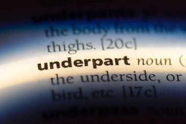 bir sözlüğü'ndeki tarafı sözcüğü. tarafı kavramı.