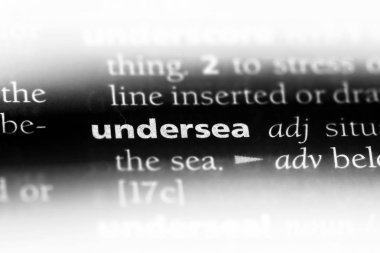 denizaltı tek kelimeyle bir sözlük. denizaltı kavramı.