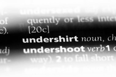 fanila Word'de bir sözlük. fanila kavramı.