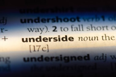 bir sözlüğü'ndeki alt sözcüğü. alt kavramı.