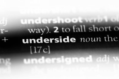 bir sözlüğü'ndeki alt sözcüğü. alt kavramı.