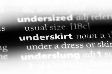 underskirt sözcük sözlüğe. underskirt kavramı.