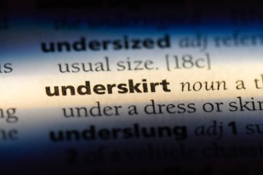 underskirt sözcük sözlüğe. underskirt kavramı.