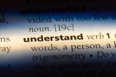 Sözlükteki tek kelimesini anlamıyorsun. kavramı anlamak.