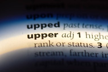 üst sözcük sözlüğe. üst kavramı.